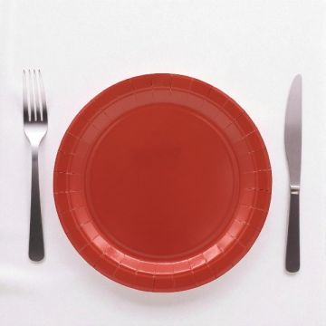 PIATTO IN CARTA CM 24 MATTONE PZ.15