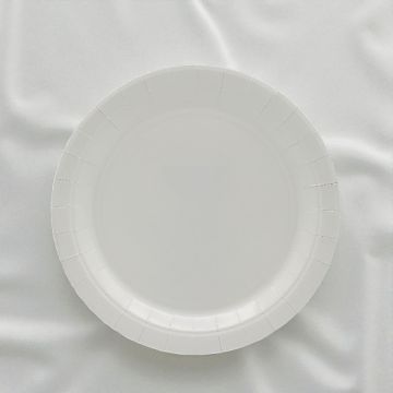 PIATTO IN CARTA CM24 GRIGIO FREDDO PZ.15