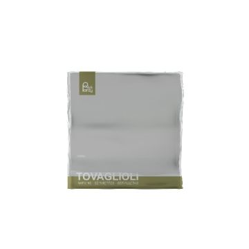 Tovagliolo Cm 33x33 Grigio Freddo Pz.40