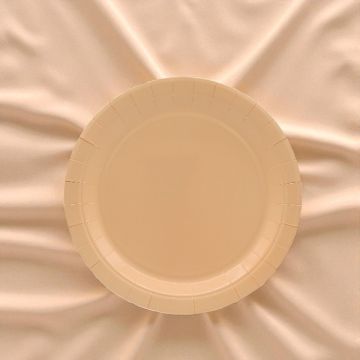 PIATTO IN CARTA CM 24 PESCA PZ.15