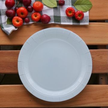 PIATTO IN CARTA CM 24 CELESTE FUMO PZ.15