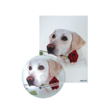 Biglietto Con Cd Musicale Pz.1 R158 - Love Dog