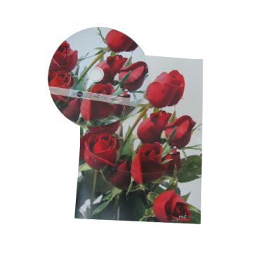 Biglietto Con Cd Musicale Pz.1 R157 - Love Rose
