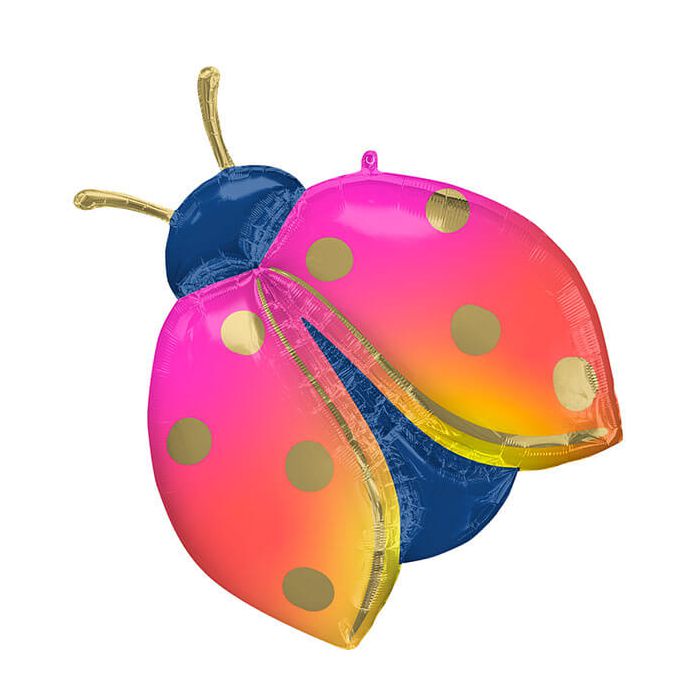 Palloncini coccinella colorata pz.1 main product photo